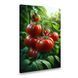 Картина на холсте Спелые красные помидоры на грядке 51x34 см (213ML_M) (213ML_M) фото 1